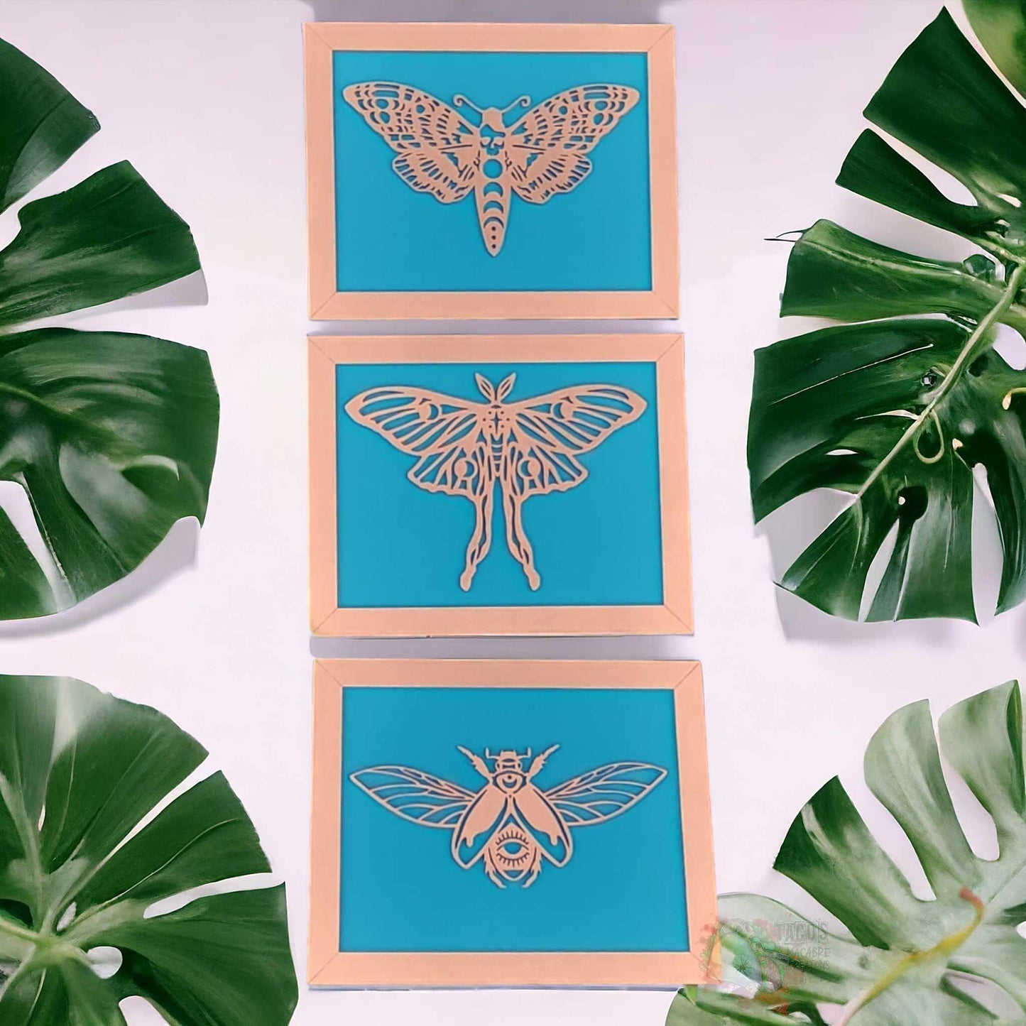 Insect Sign