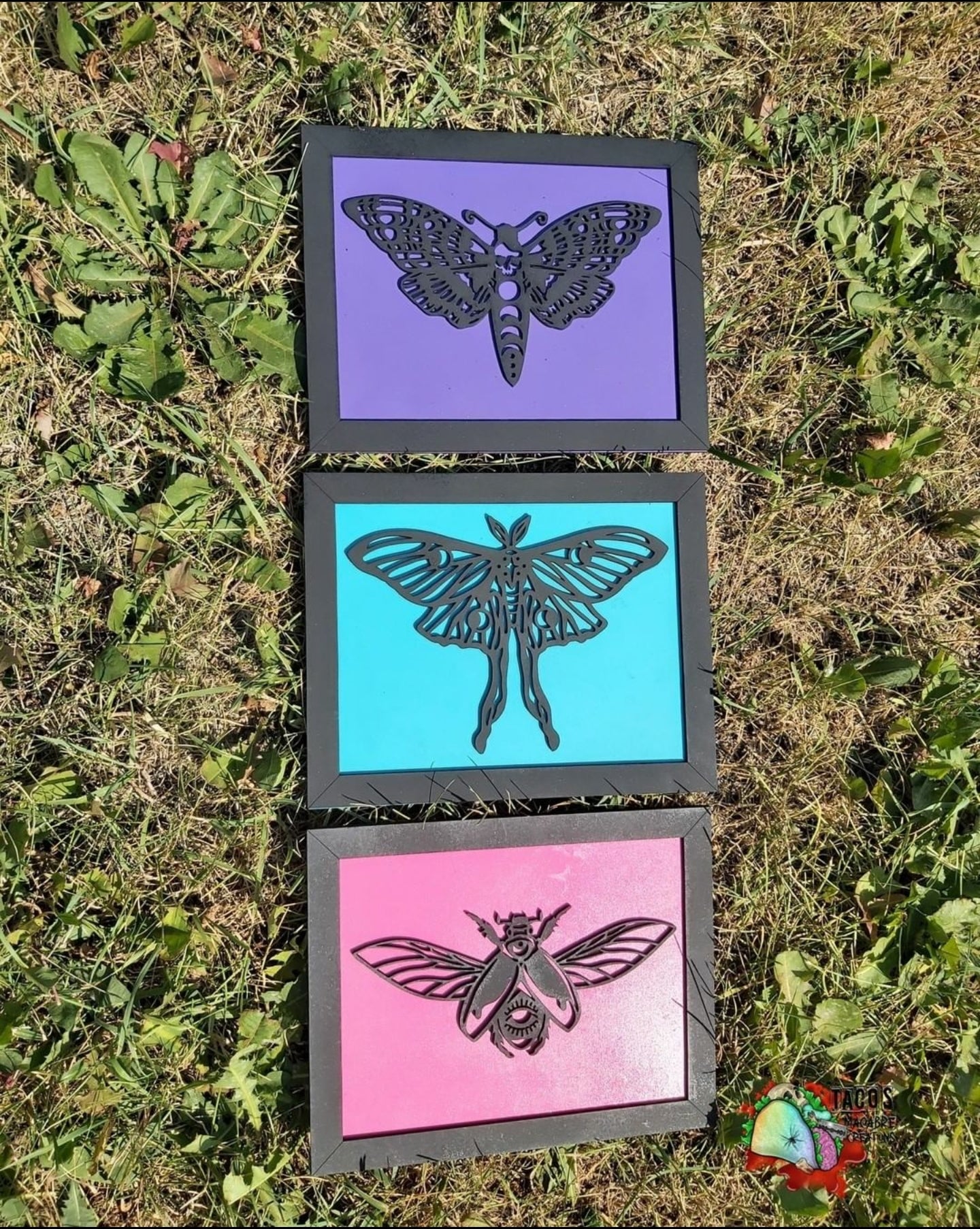 Single Insect Signs