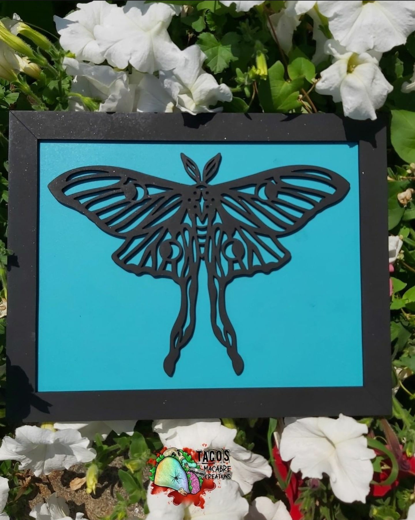 Single Insect Signs