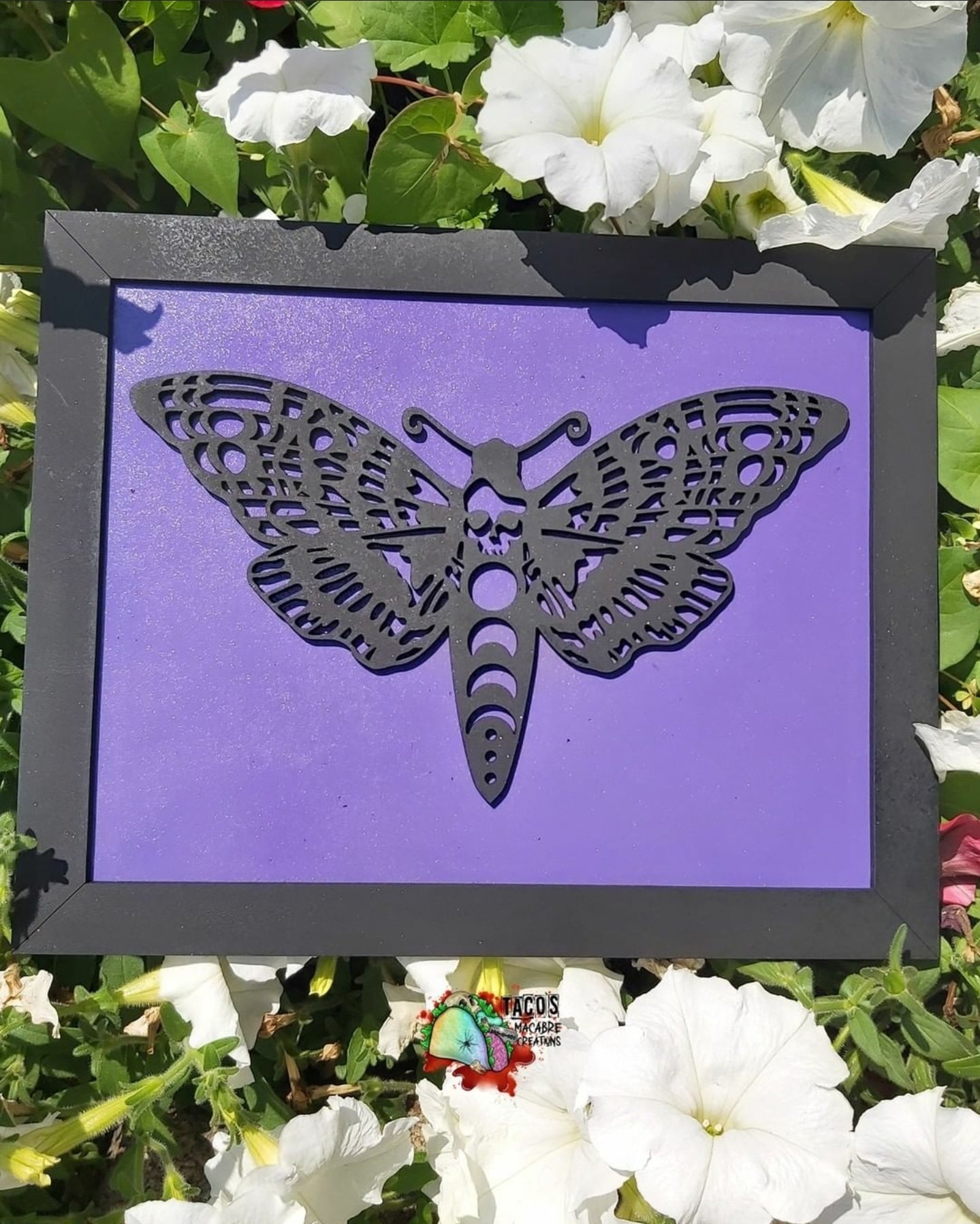 Single Insect Signs