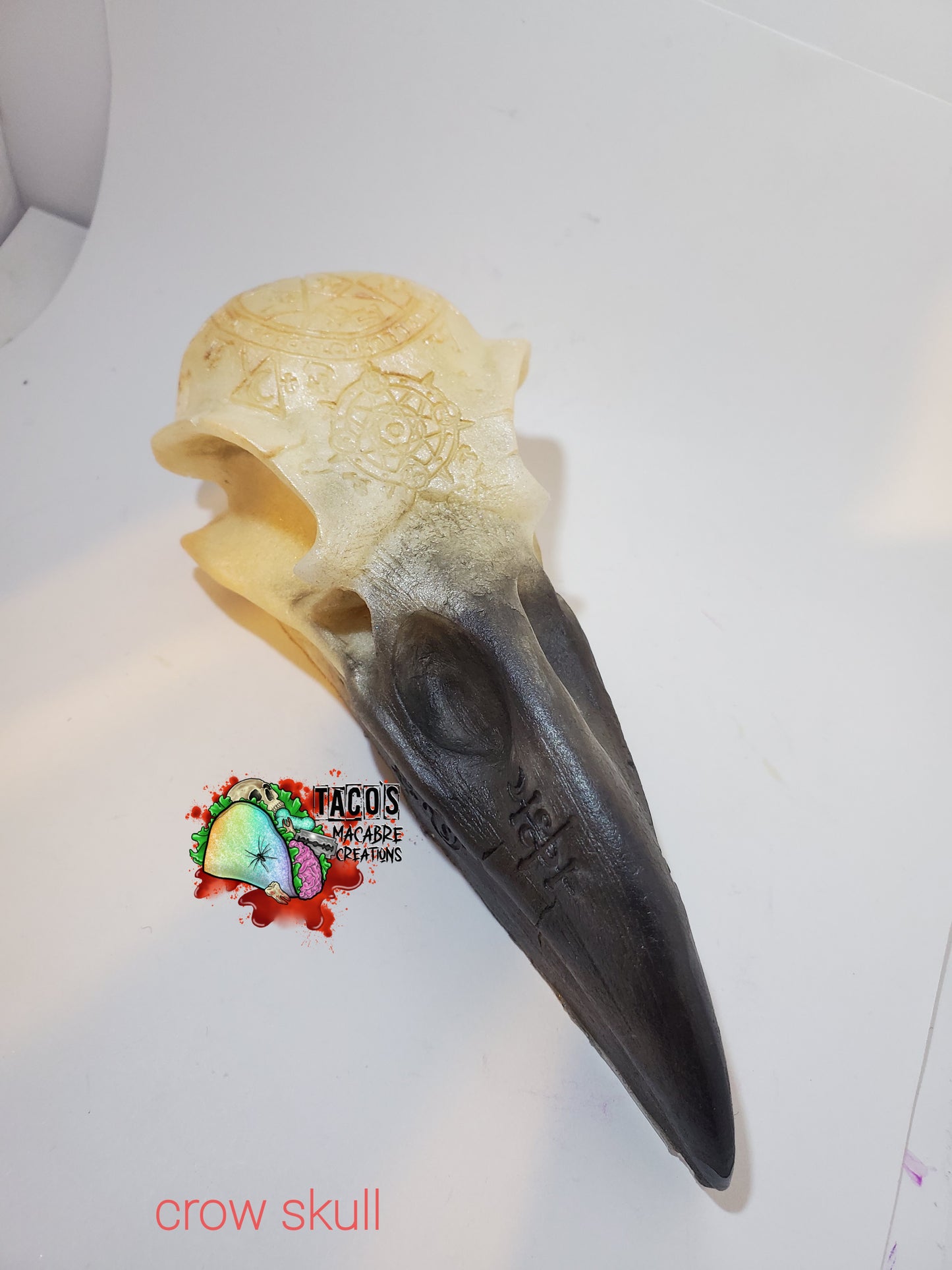 Crow Skull