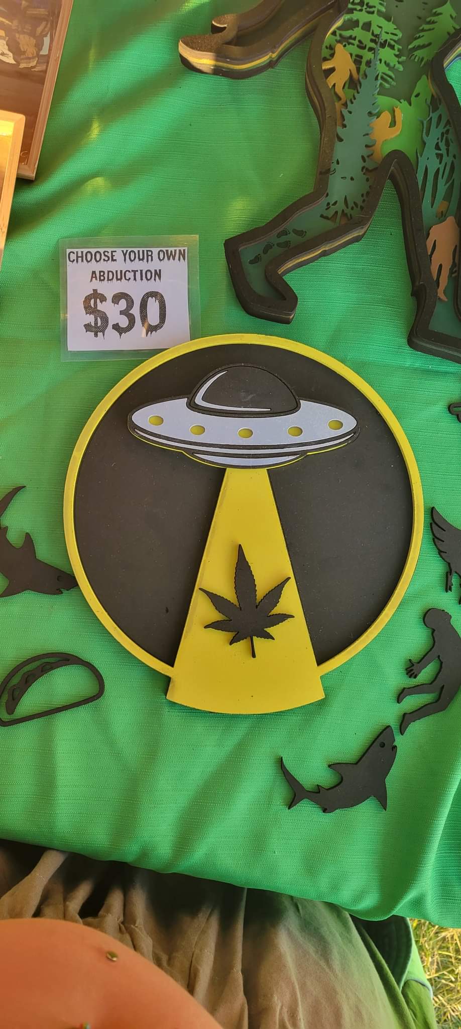Choose Your Abduction