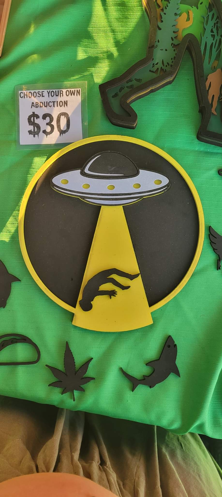 Choose Your Abduction