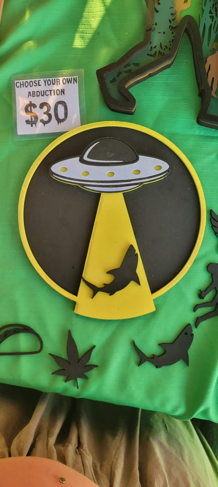 Choose Your Abduction