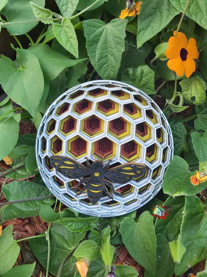 Bee Boi