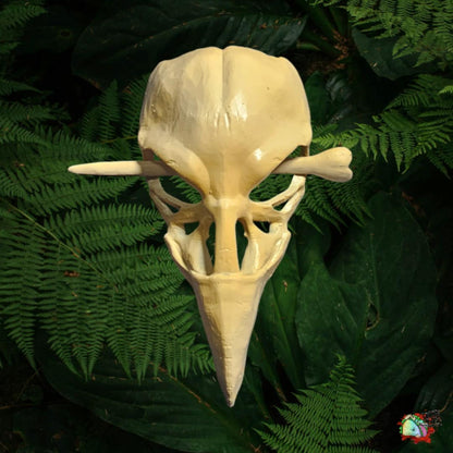 Raven skull hair pin