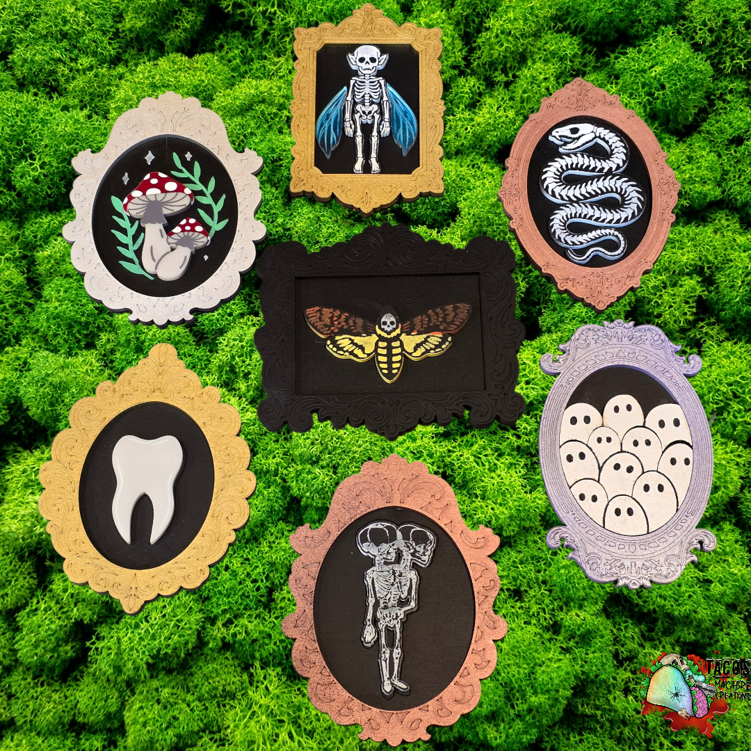 Mini Curiosity frames
