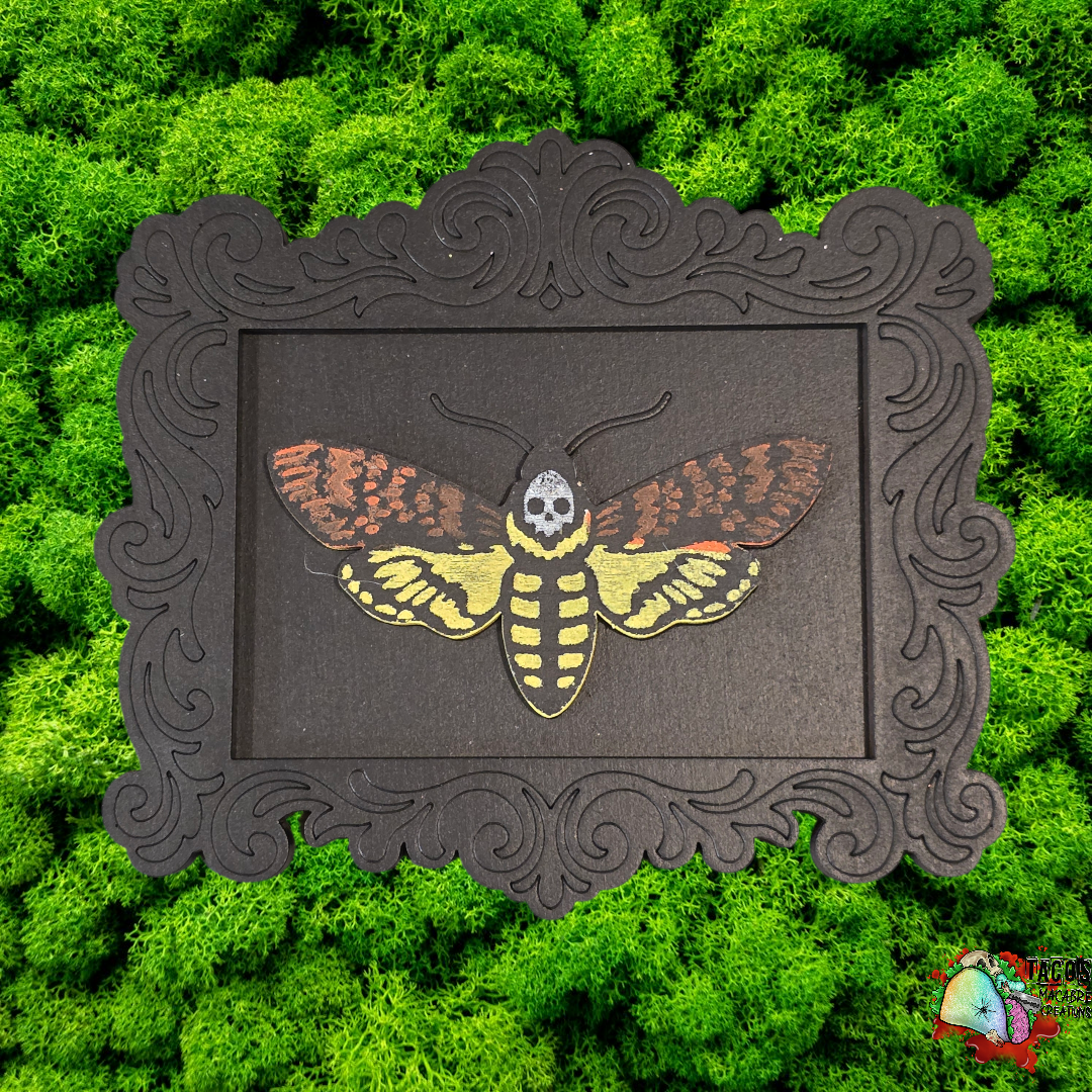 Mini Curiosity frames