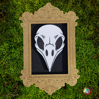 Mini Curiosity frames