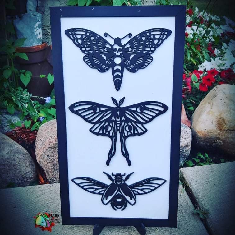 Insect Sign
